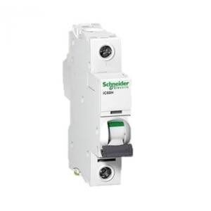 INT. TERMOMAGNETICO 1x100A. (10KA-230/ 400VAC.IEC 60898-1, 10KA/ 230VAC.IEC 60947-2)