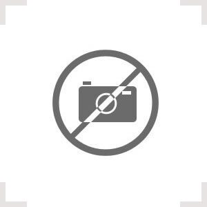 PEINE DE 10 P PARA BORNERA 4MM